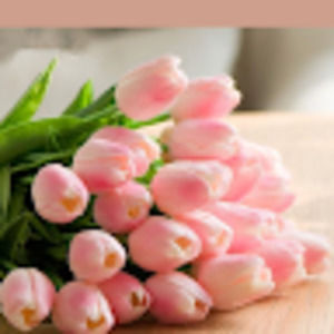 Meet your Posher, Zilola